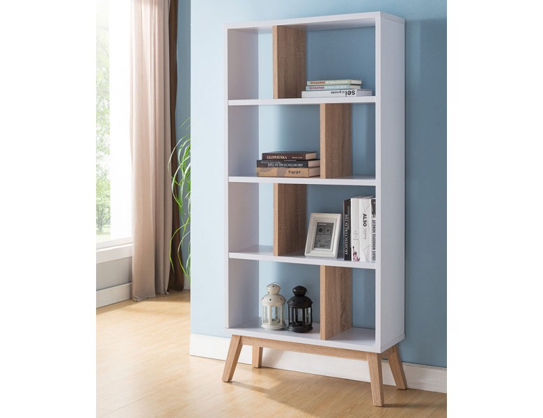 Modern Bookcase for Your  Trendy Home Interior