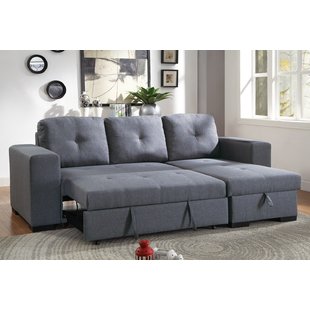 Sectional Pull Out Couch | Wayfair