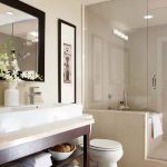 Small Bathroom Design Ideas