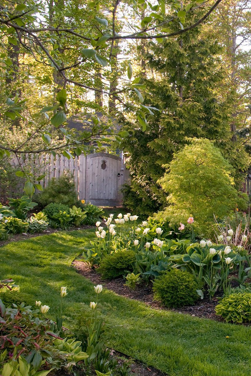 Setup a Backyard Garden