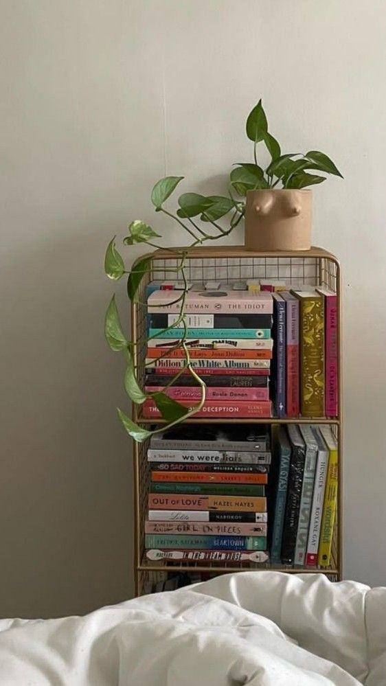 Best Bookshelf For Your Room