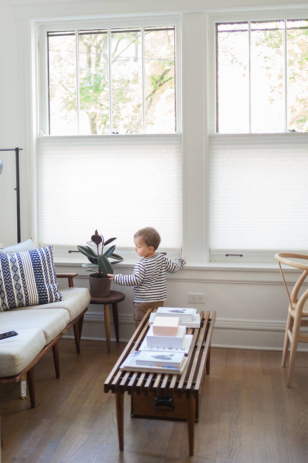 Cellular shades that will make
your room grand