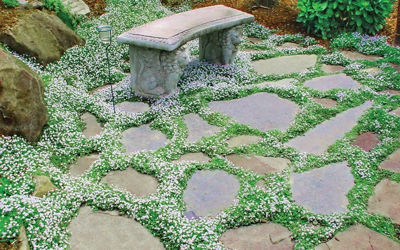 Timeless Elegance: Flagstone Pavers for
Your Outdoor Space