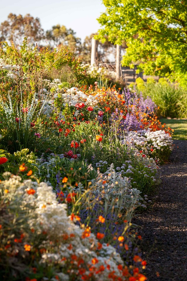 4 GREAT GARDEN BED DESIGNS