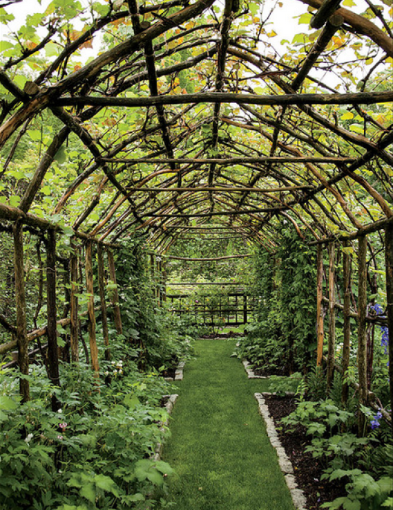 An Overview of Garden Canopy