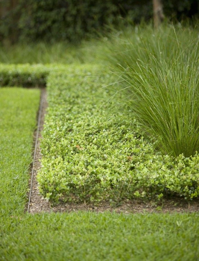 Tips on Gorgeous Garden Edging
Landscapes