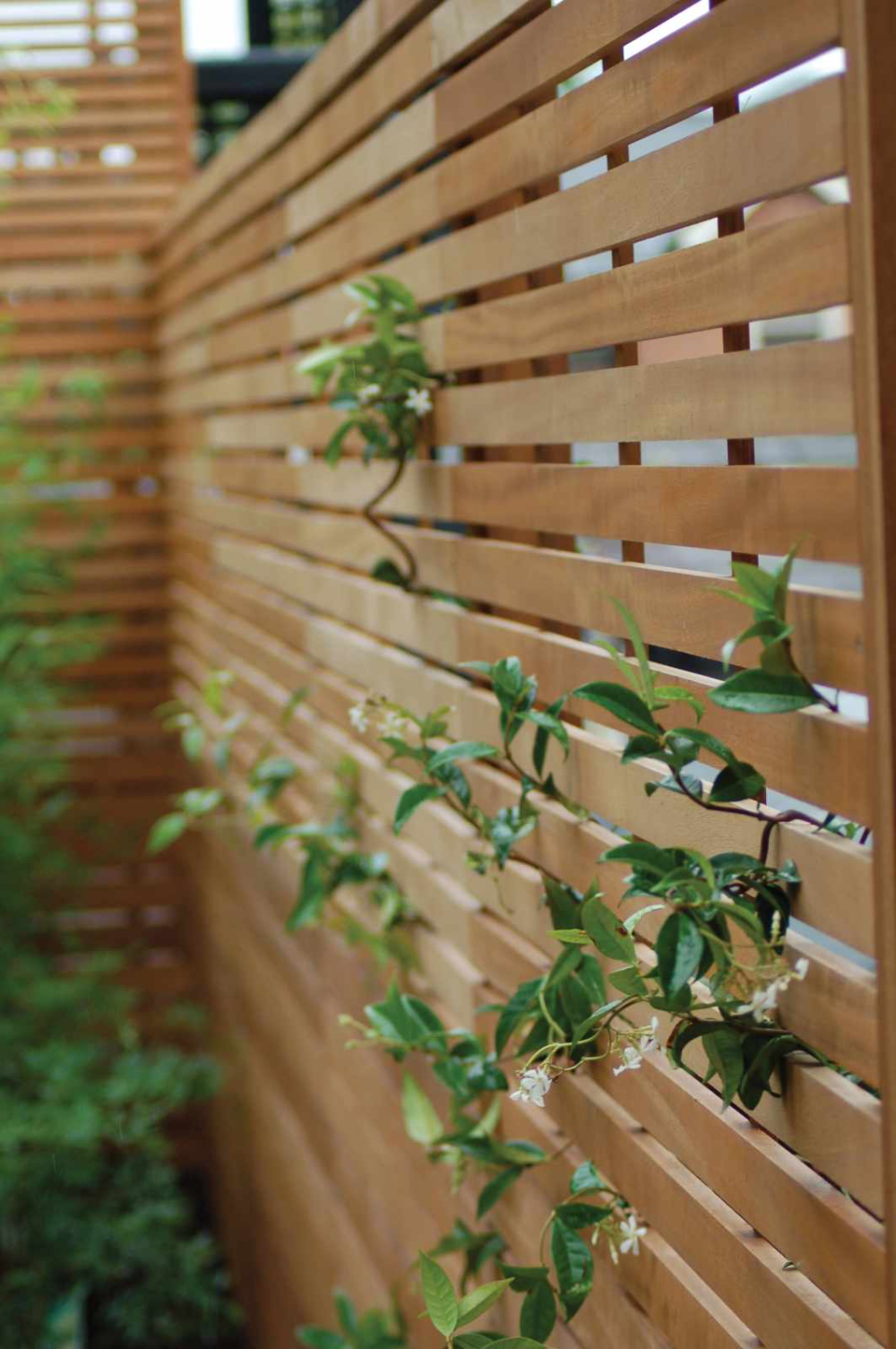 Selecting Garden Fence Panels