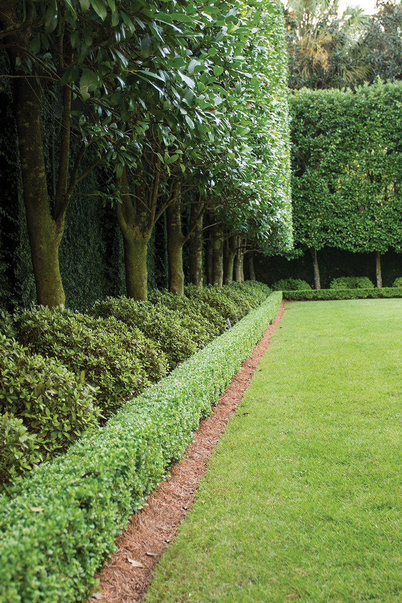 The Benefits of Garden Hedges