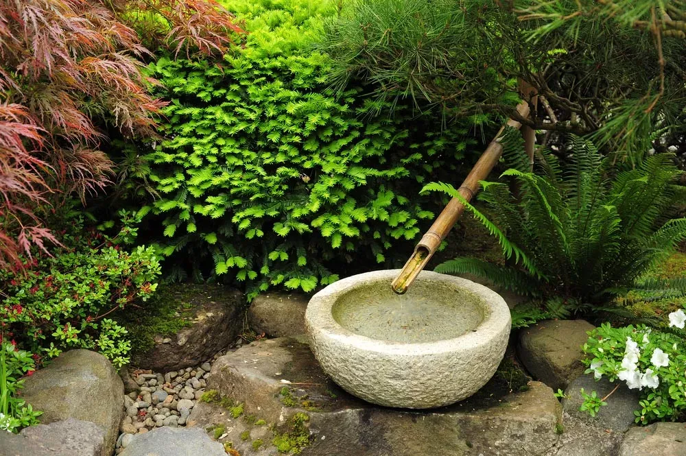 Japanese-Garden.webp.webp