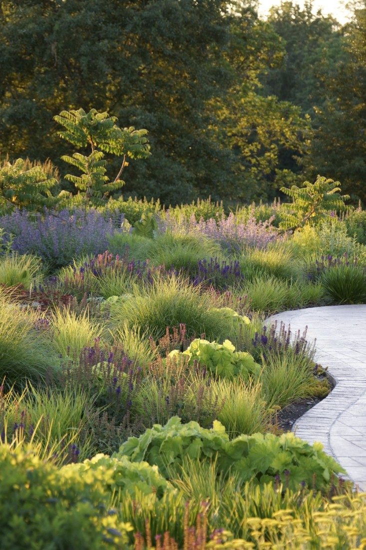 The Beauty of Having a
Landscape Design for your Home