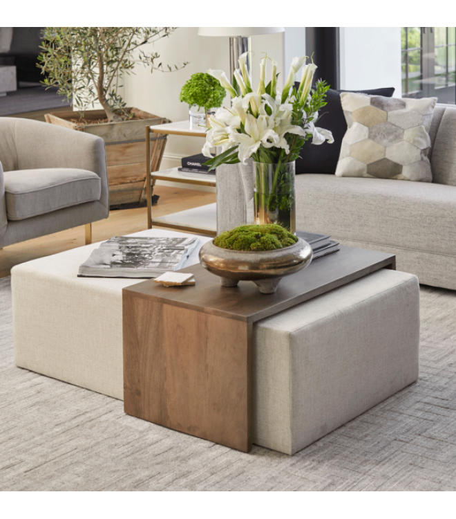 Ottoman Coffee Table: great functionality along with stylish look