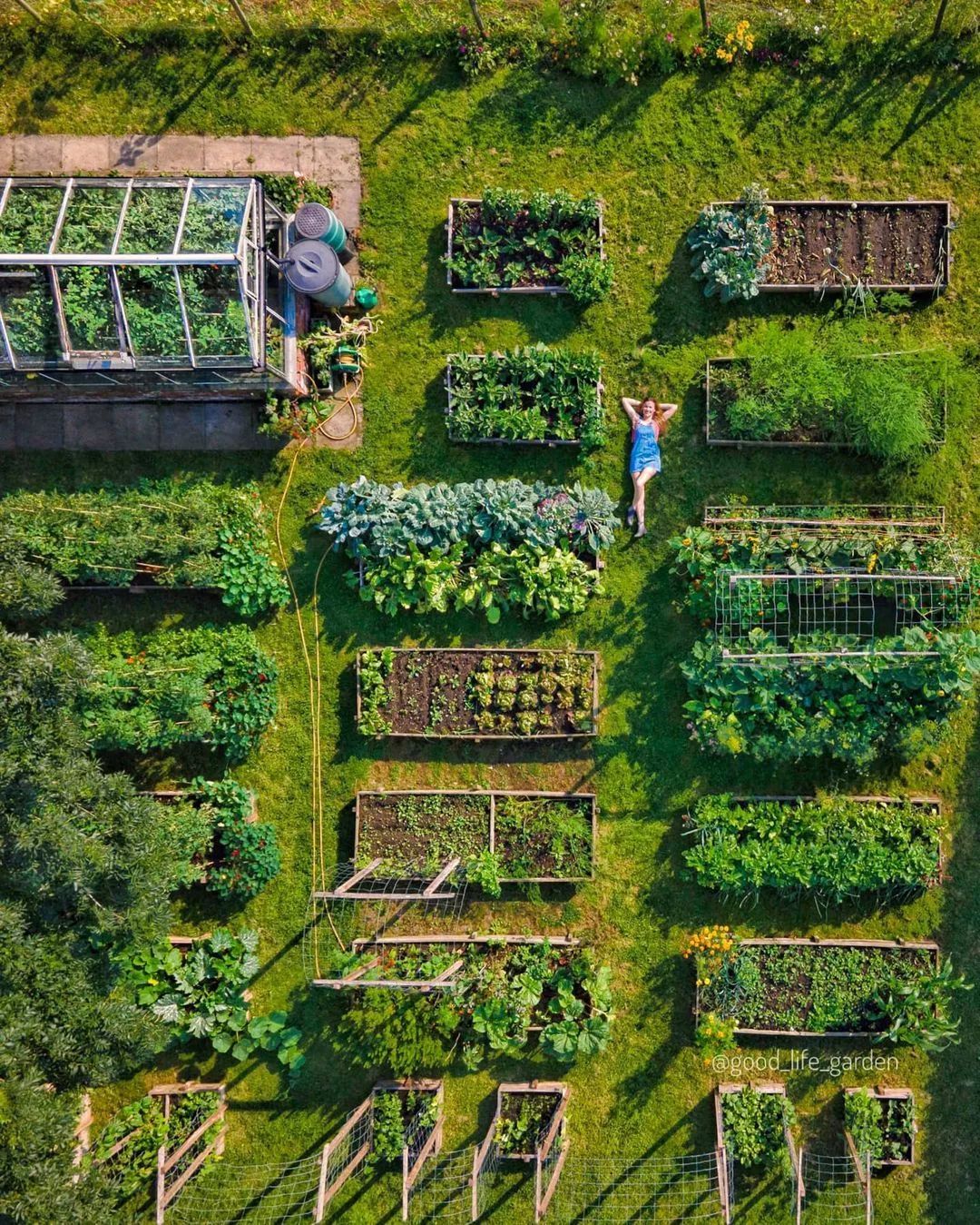 Use Raised Bed Gardening and
Avoid Challenges