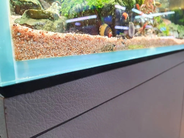 Rimless Aquarium – Buying Guide