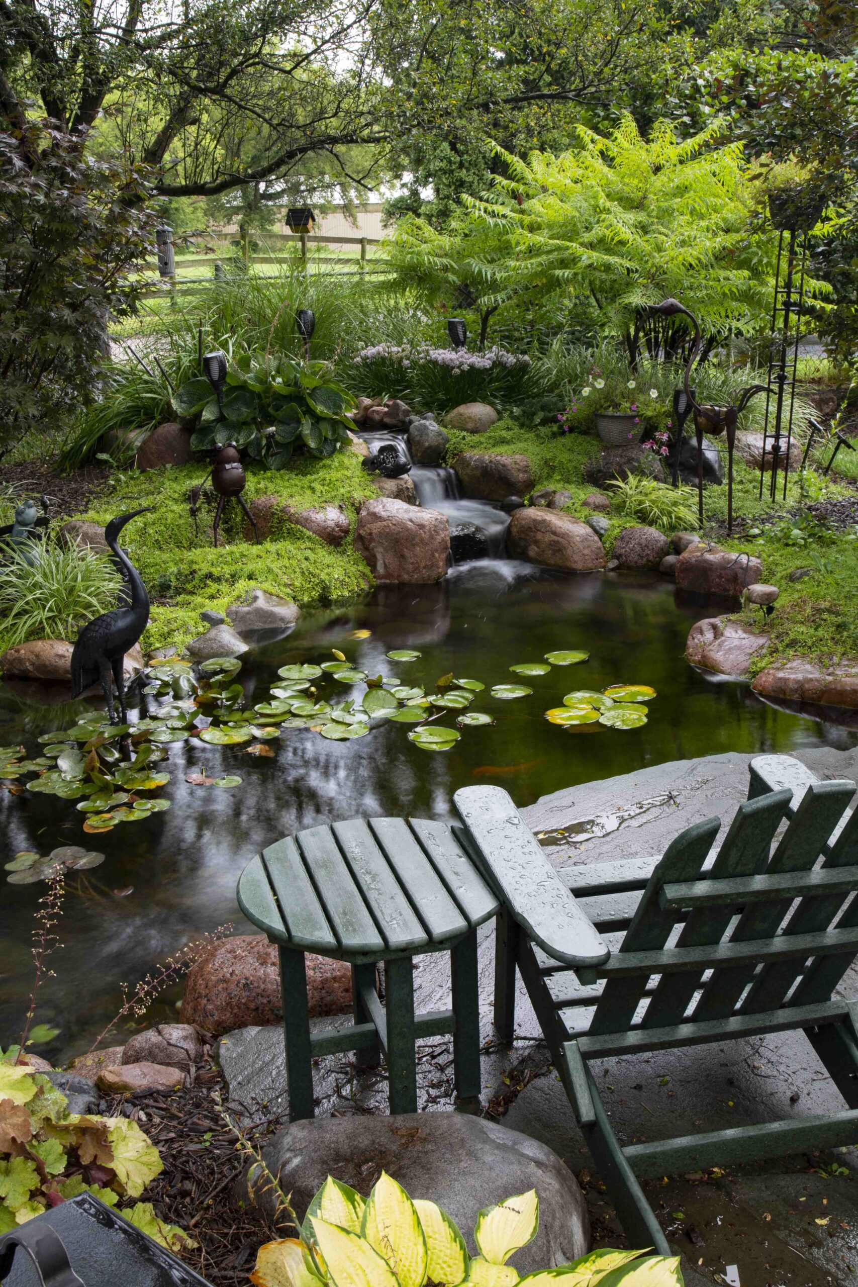 The importance of backyard
ponds