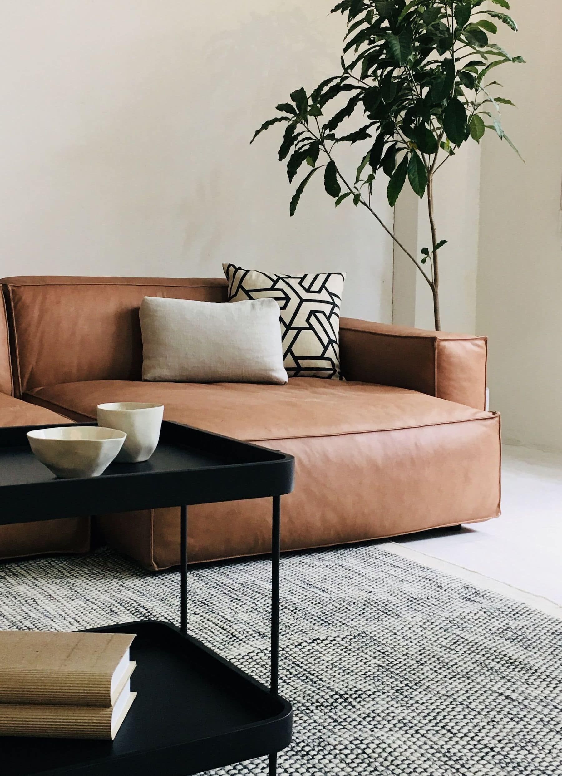 Elegant Furniture – A Brown
Leather Sofa