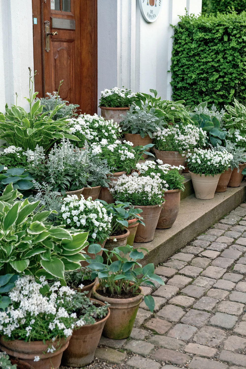 How can you benefit from
container gardening Ideas ?