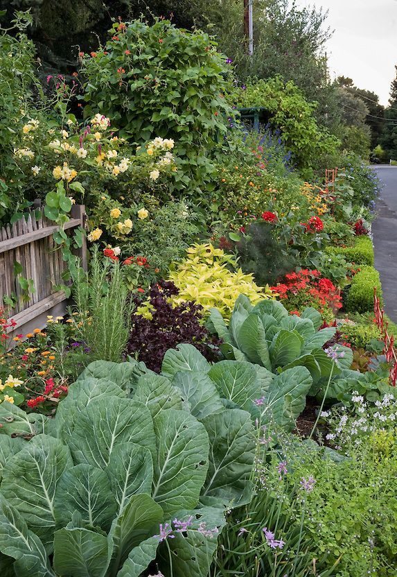 Characteristics of the edible  landscaping