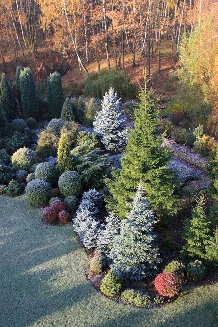 Reasons you should make the
evergreen landscape your best choice