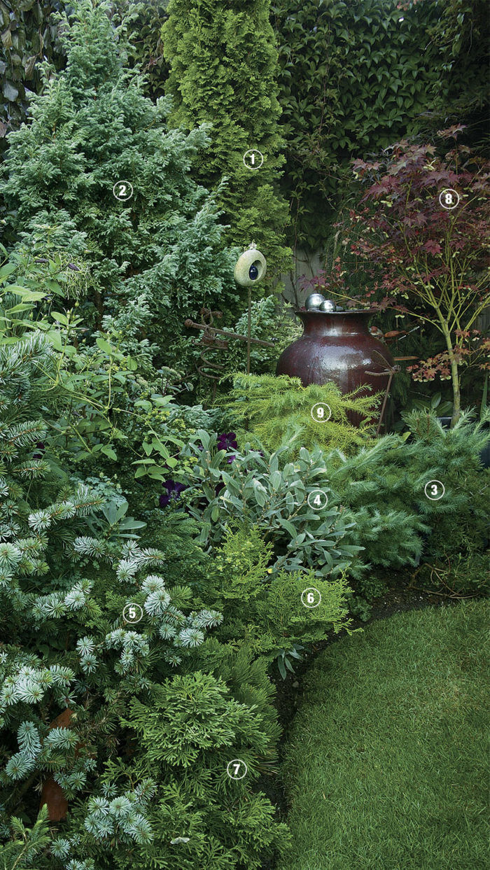 Reasons you should make the
evergreen landscape your best choice