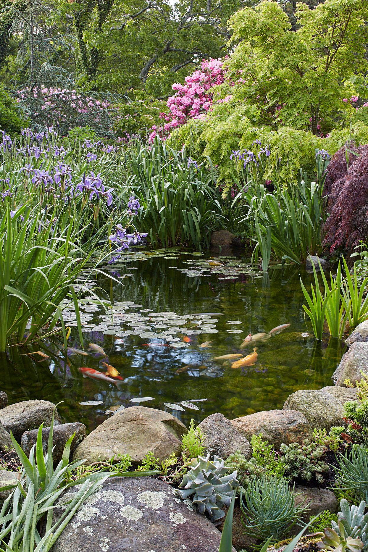 Use of garden Pond and Its
benefits