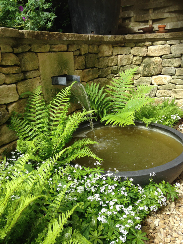 Process of adorning your
living environment with garden ponds