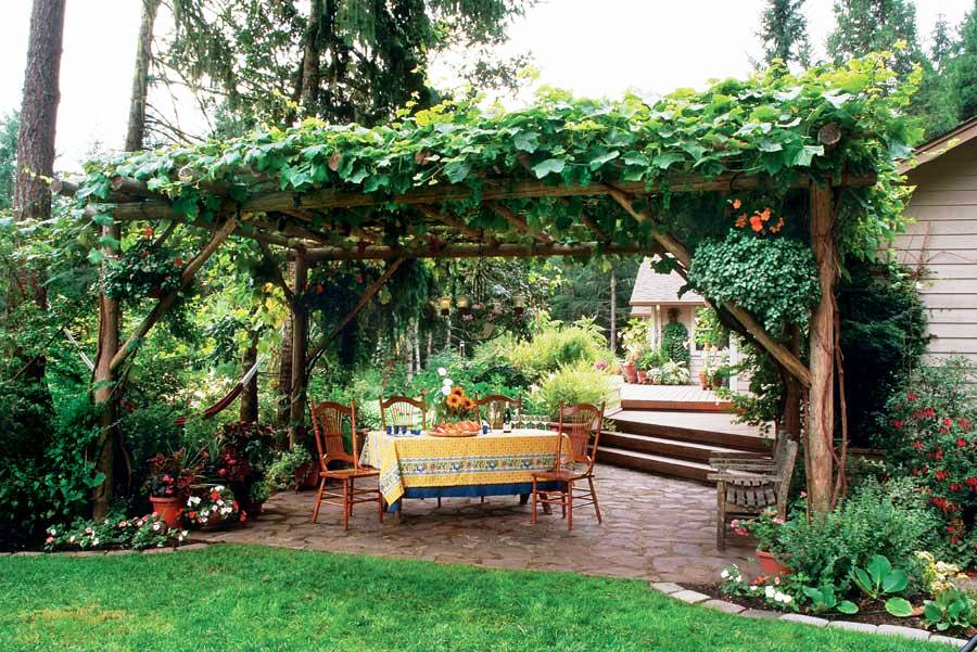 Why you should build grape
arbor