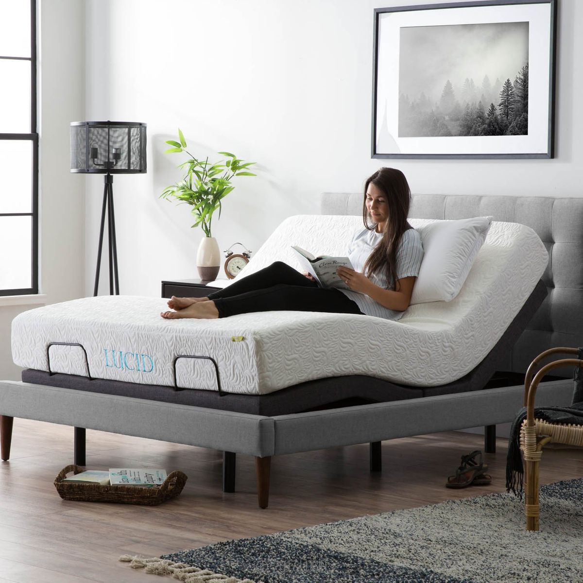 King Adjustable Bed Designs