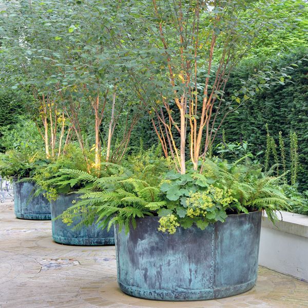 Different types of large
garden pots