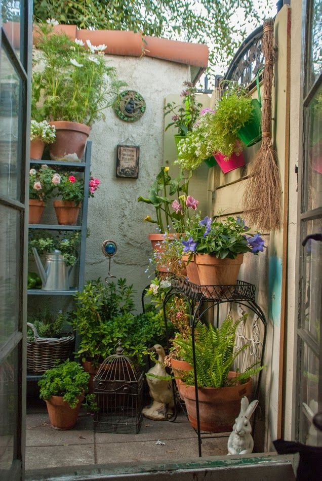 Some unique Small garden
ideas?