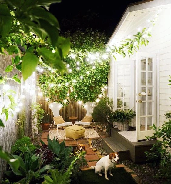 Sources of small yard ideas