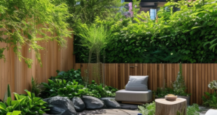 Unlocking the Potential: Innovative Backyard Design Ideas