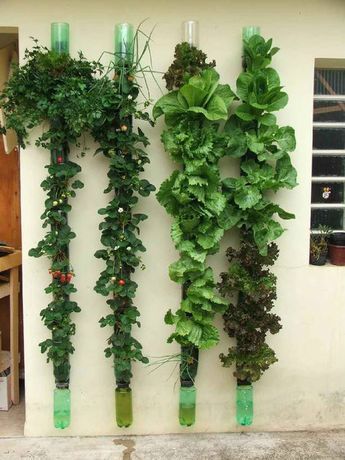 vertical-garden.jpg