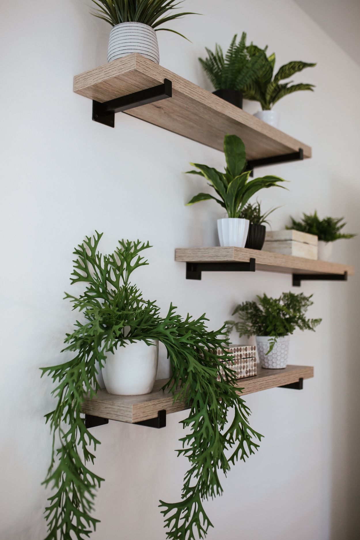 Wall Shelves Are the Signature  of Your Style-also fulfill your purpose