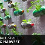 ... 20 vertical gardening ideas for turning a small space into a GZDTYGL