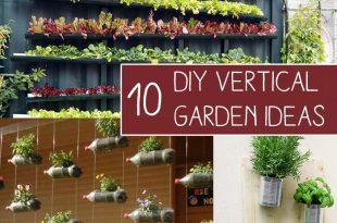 10 easy diy vertical garden ideas BNAKDOK