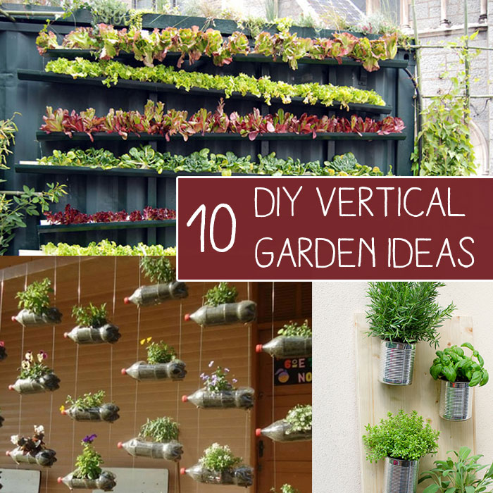 How to Grow Vegetables in Vertical Garden