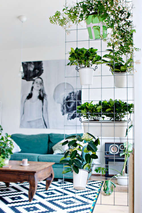 15 indoor garden ideas for wannabe gardeners in small spaces | apartment CNTELOT