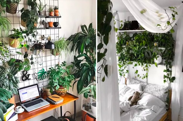 18 inspiring indoor gardens for anyone who doesnu0027t have a backyard SKYWICB
