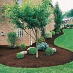 amazing of evergreen landscaping ideas evergreen landscaping for your  beautiful garden QPYHAED