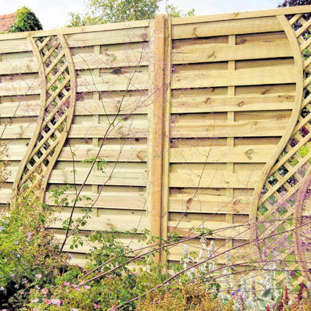 backyard fence ideas climbers wall wood fence TKBZBDT