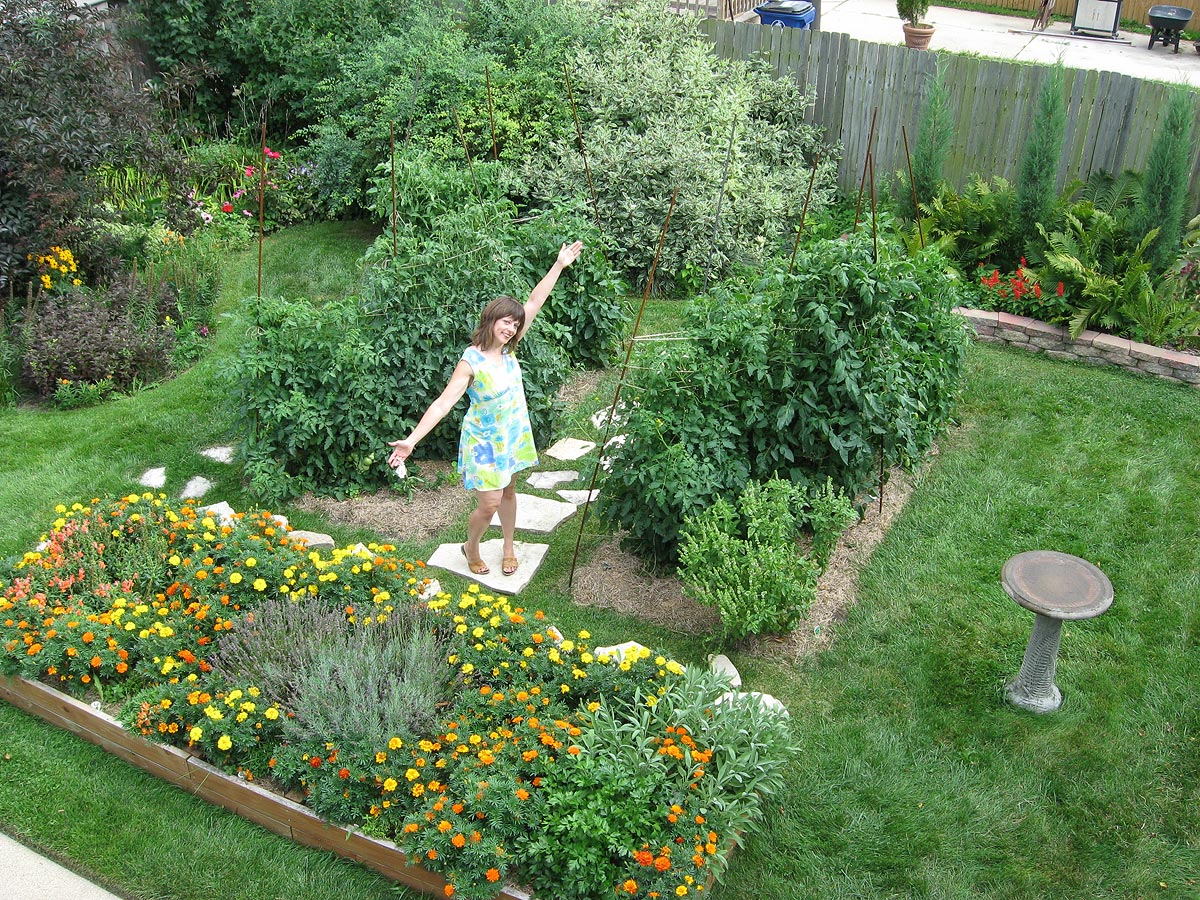 backyard garden: 6-foot tomato plants, racine, wisconsin FIJPFUM