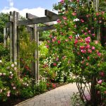 backyard garden ideas 11. flowers with pergola RIKBQFU