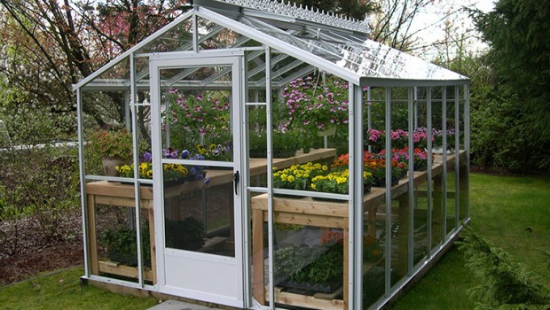 backyard greenhouse greenhouse gab | letu0027s get growing! NTPZDQD
