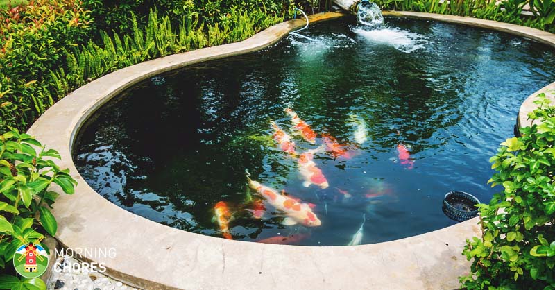 backyard pond 8 big reasons to build backyard ponds to improve your home QTMBJHY