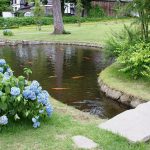 backyard pond backyard fish farming - raise fish in your home pond TFURNVT