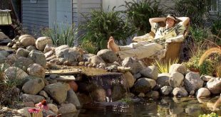 backyard pond how to build a pond how to make a pond SOWLXJT