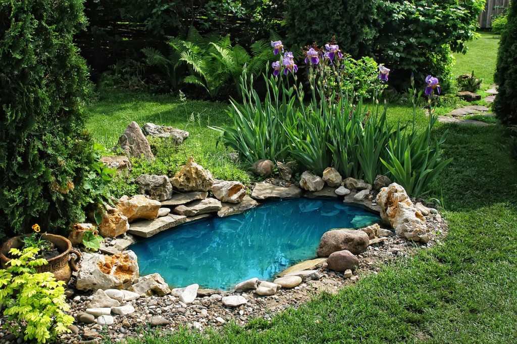 backyard ponds 15 breathtaking backyard pond ideas - garden lovers club YWIEQEM
