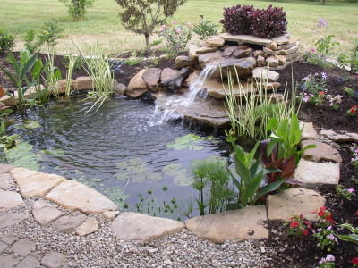 backyard ponds: a quick springtime maintenance and care guide WPIAOIV
