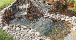 backyard ponds we know that a backyard pond with running water, floating plants and GPUMDGN