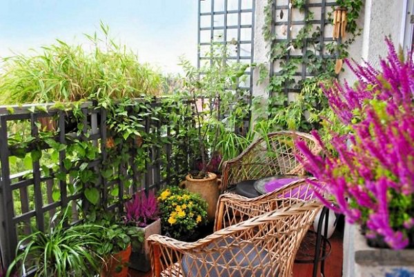 balcony garden ideas tip 5 balcony garden design tips (4)_mini WMLTCLS